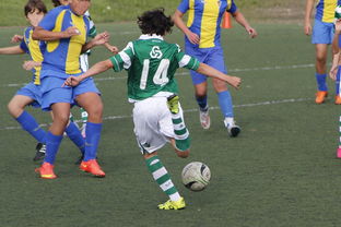 星空体育网站-布宜诺斯艾利斯独立主场优势明显，球迷期待逆转奇迹